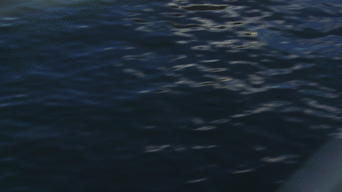 Urban Coast Transitions